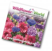 Wildflower_Cover_2