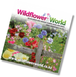 resized__200x204_Wildflower_World_2021_2022_Annual_Catalogue